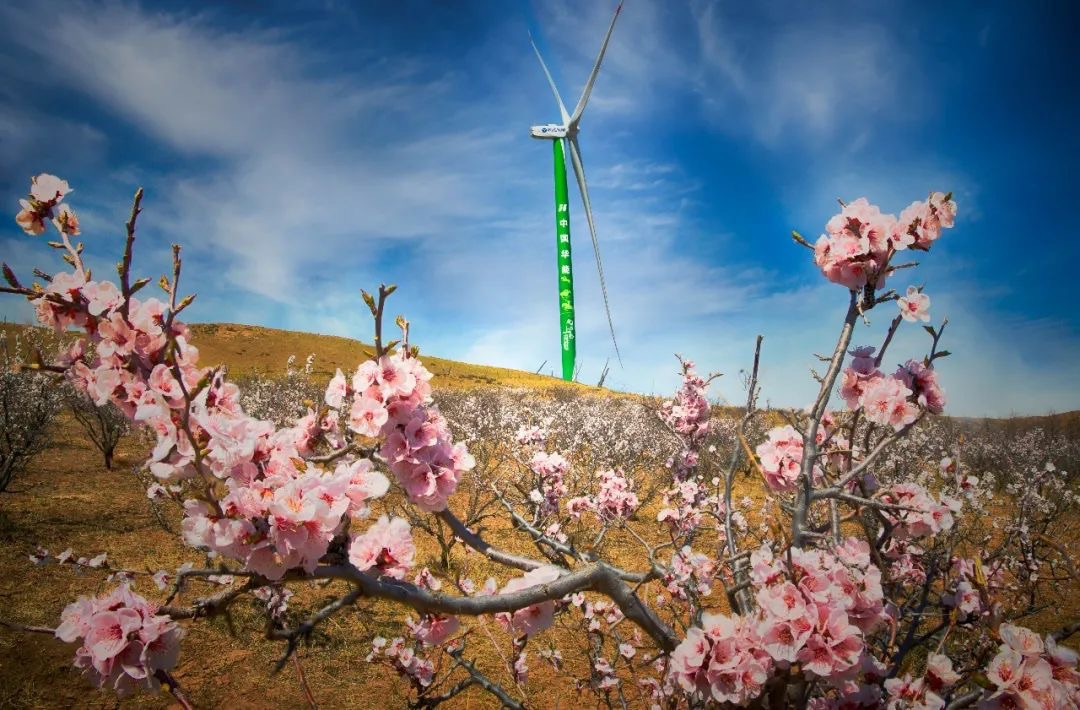 4001老百汇net(集团)NO.1官方网站