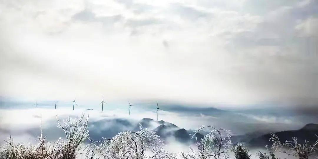 4001老百汇net(集团)NO.1官方网站