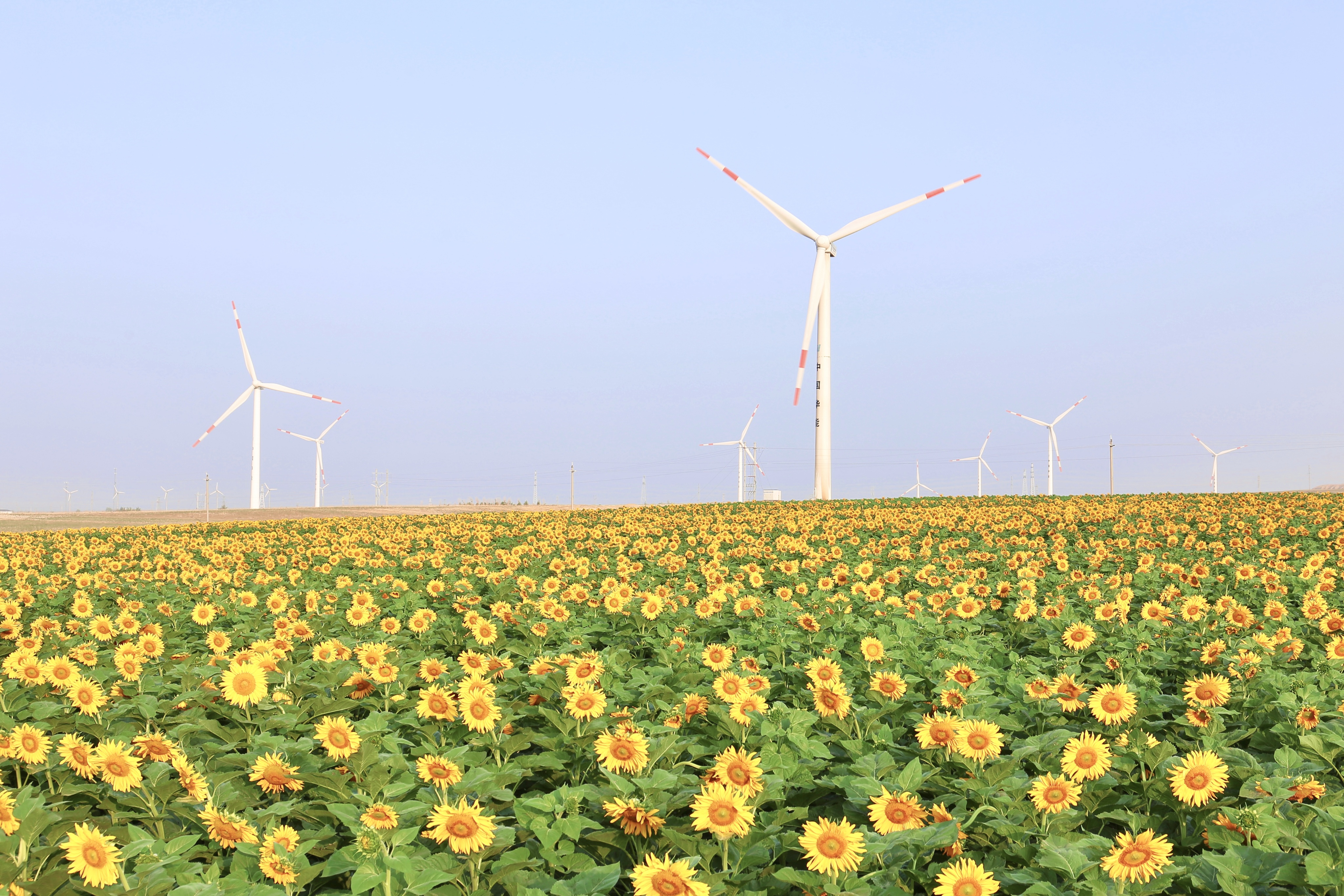 4001老百汇网站股份助力推动风电场控制手艺国际研发项目顺遂实验