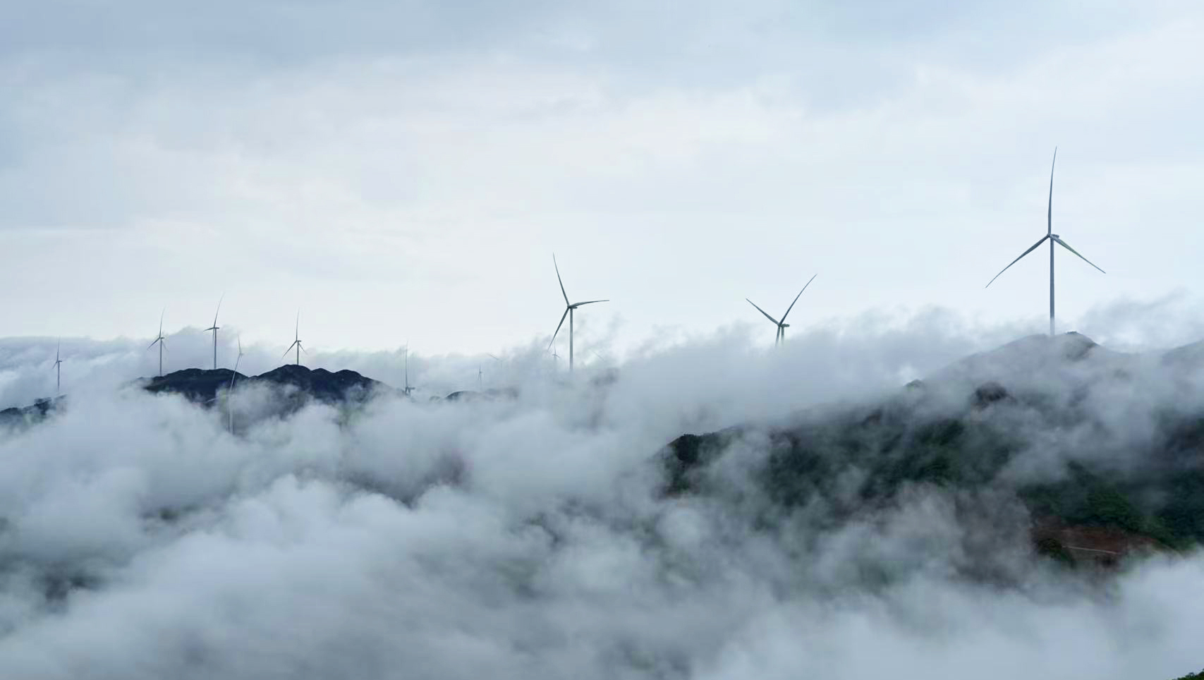 4001老百汇net(集团)NO.1官方网站